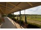 Lot 12 Lines Road, Willyaroo SA 5255