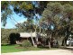 Lot 1 Willyaroo Rd  (via Strathalbyn), Willyaroo SA 5255