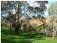 Lot 1 Willyaroo Rd  (via Strathalbyn), Willyaroo SA 5255