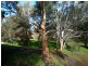 Lot 1 Willyaroo Rd  (via Strathalbyn), Willyaroo SA 5255