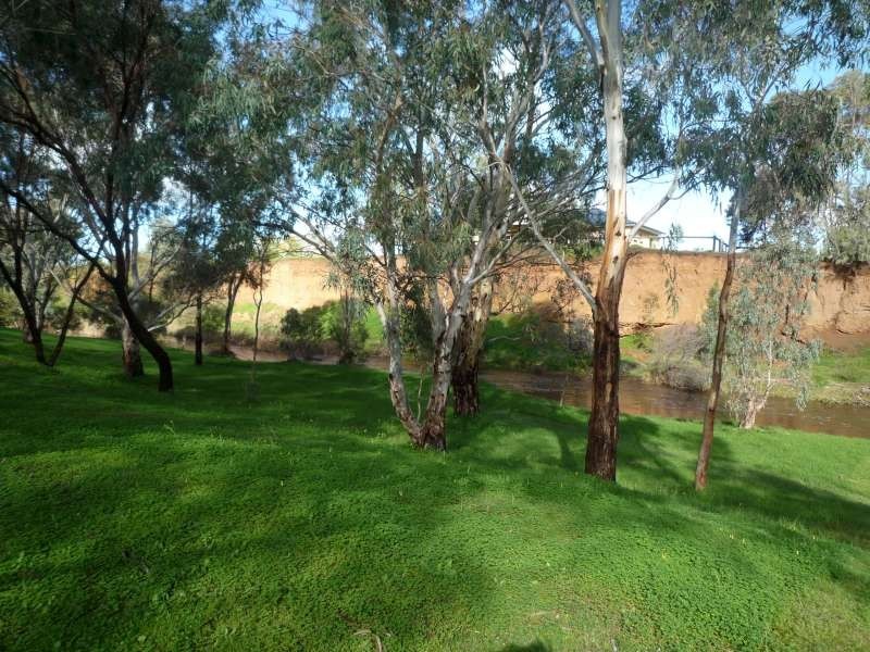 Lot 1 Willyaroo Rd  (via Strathalbyn), Willyaroo SA 5255