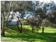 Lot 1 Willyaroo Rd  (via Strathalbyn), Willyaroo SA 5255
