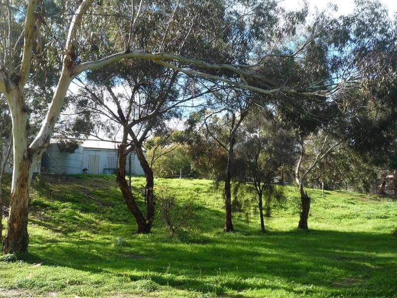 Lot 1 Willyaroo Rd  (via Strathalbyn), Willyaroo SA 5255