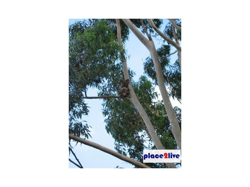 6 SPRY CT, Petrie QLD 4502
