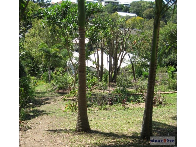 16 HALL AVE, Norman Park QLD 4170