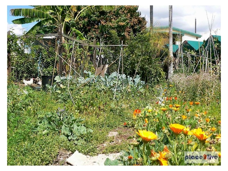 55 LONGDEN ST, Coopers Plains QLD 4108