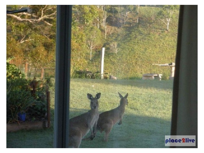 177 GYMPIE KIN KIN RD, Kin Kin QLD 4571