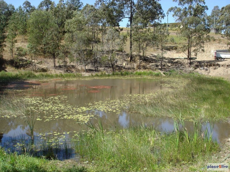 486 Cedar Creek Rd, Cedar Creek QLD 4520