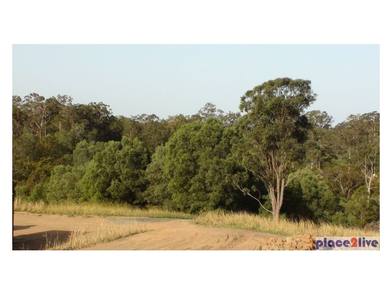 168 Armstrong Creek Rd, Armstrong Creek QLD 4520