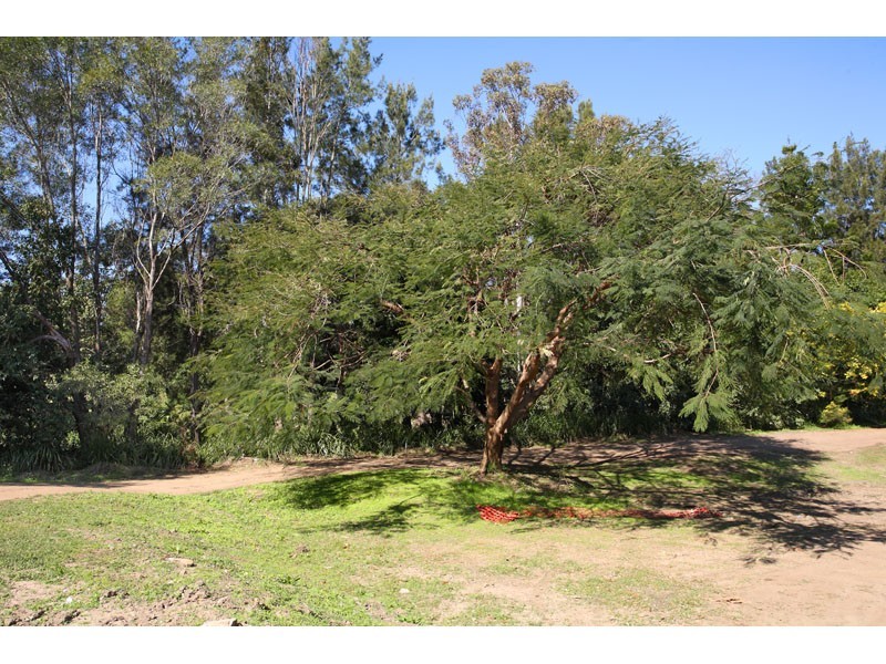 97 WATERWORKS RD, Ashgrove QLD 4060