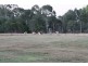 Sharon QLD 4670