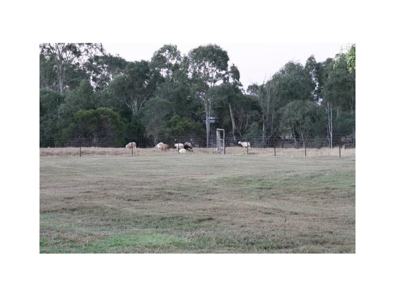 Sharon QLD 4670