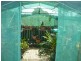 Avenell Heights QLD 4670