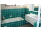 36 BARRATT AVENUE, Camden South NSW 2570