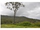 2558 Beaudesert Nerang Road, Canungra QLD 4275