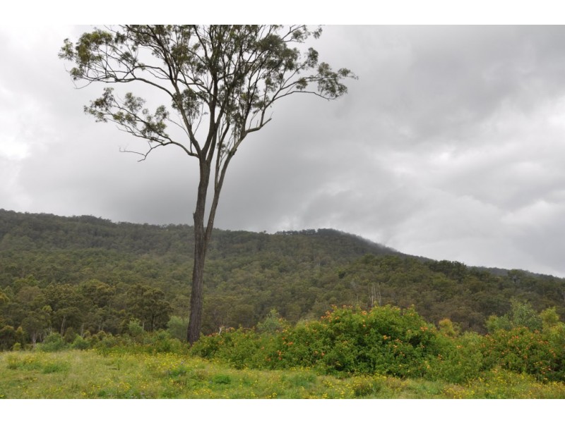 2558 Beaudesert Nerang Road, Canungra QLD 4275
