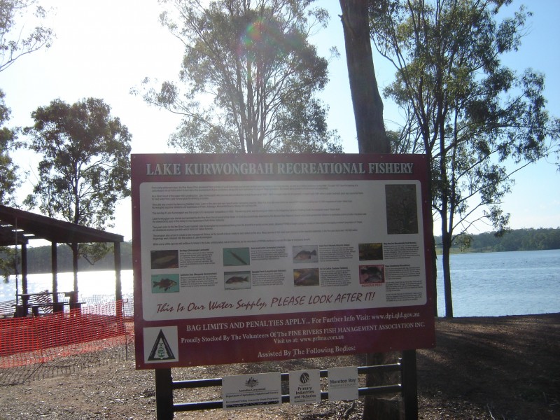 5 Carwell Avenue, Petrie QLD 4502