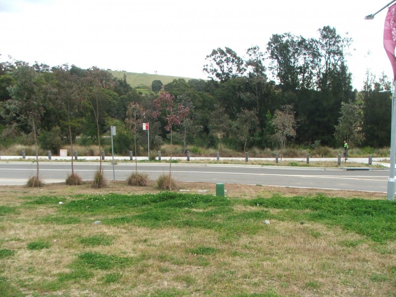 158 Driftway Dr, Pemulwuy NSW 2145