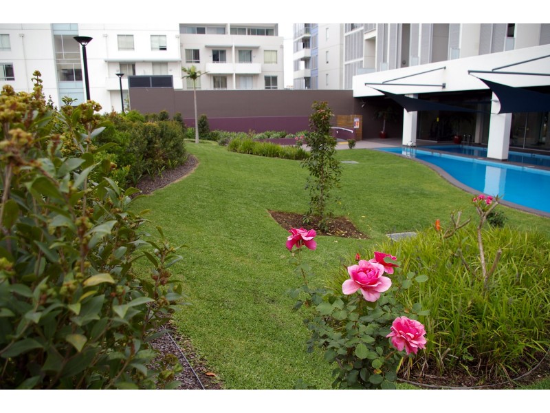 Rhodes NSW 2138