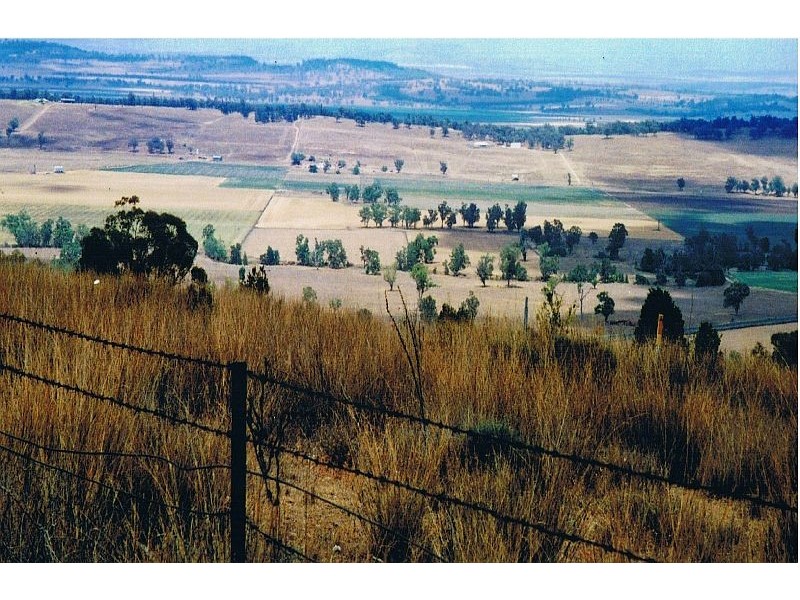 42 Breeza Street, Quirindi NSW 2343