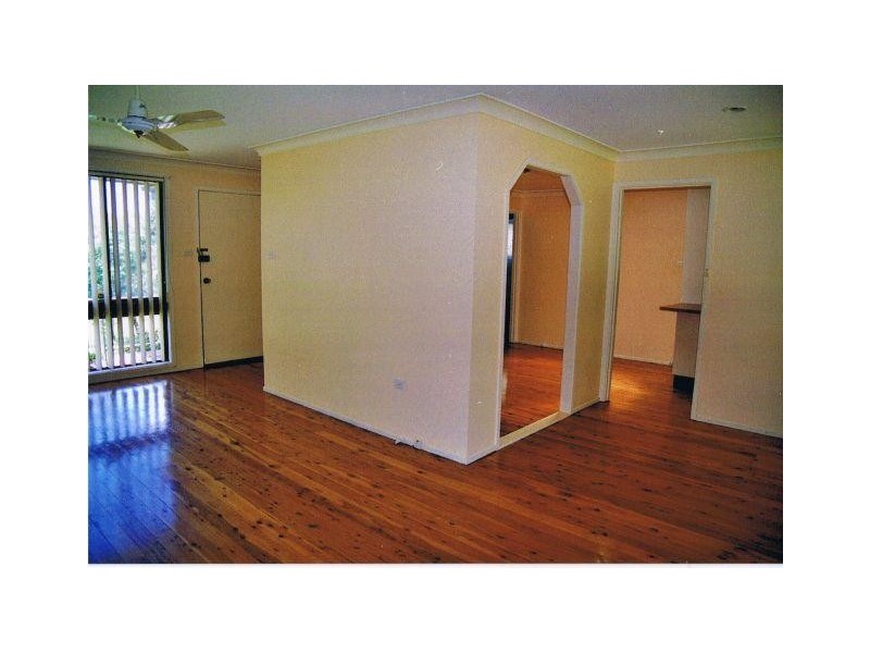 56 Chasselas Street, Eschol Park NSW 2558