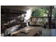 61 Gowrie Street, Newtown NSW 2042