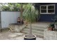 4 Barden Street, Tempe NSW 2044