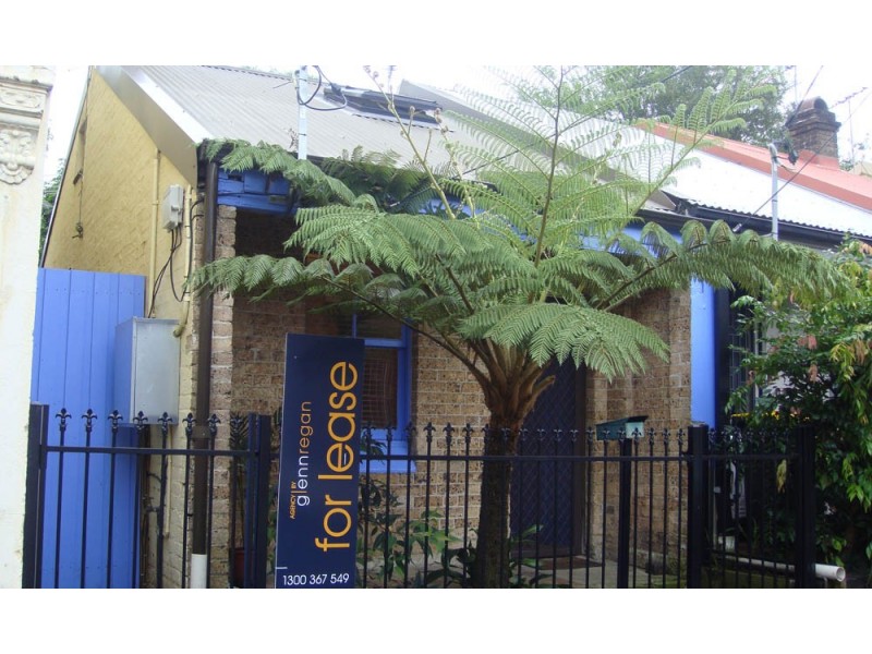 69 Hutchinson Street, St Peters NSW 2044