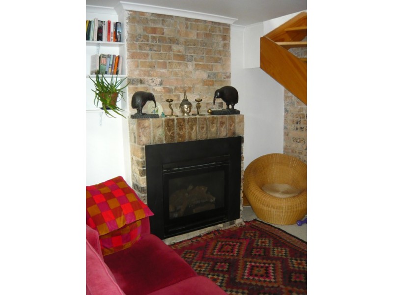 69 Hutchinson Street, St Peters NSW 2044