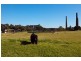 St Peters NSW 2044
