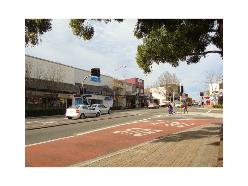 16 Elliston Street, Chester Hill NSW 2162