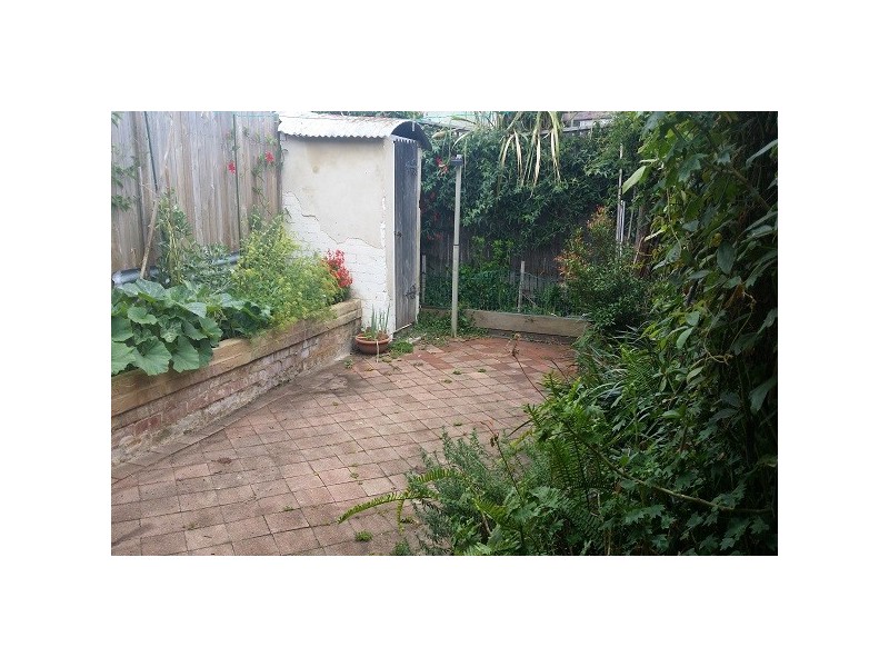 8 Maria Street, Petersham NSW 2049