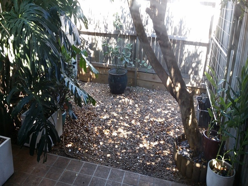 39 Cook Road, Marrickville NSW 2204