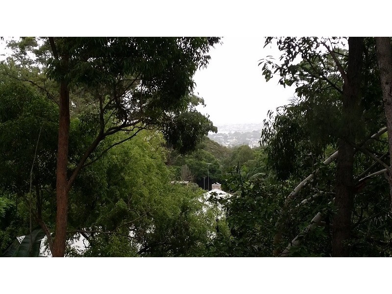 4404/1 Nield Avenue, Greenwich NSW 2065