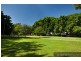 61 Hutchinson, St Peters NSW 2044