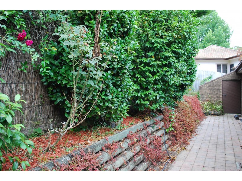 3/41 Hazelmead Road, Asquith NSW 2077