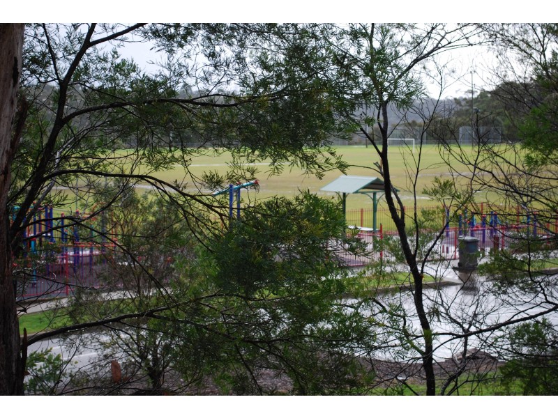 20 Foxglove Road, Mount Colah NSW 2079