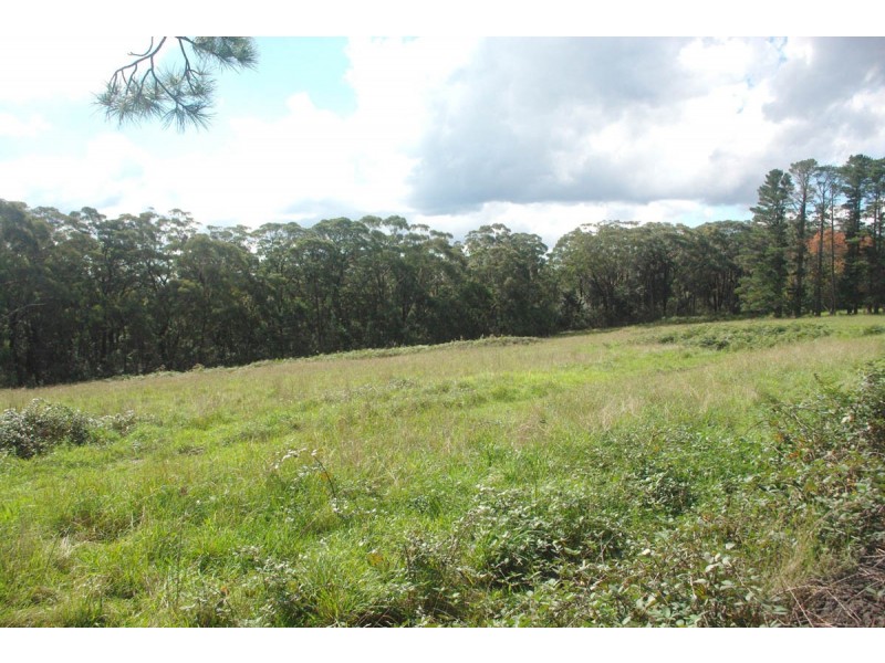 11 Mt Tootie Rd., Bilpin NSW 2758