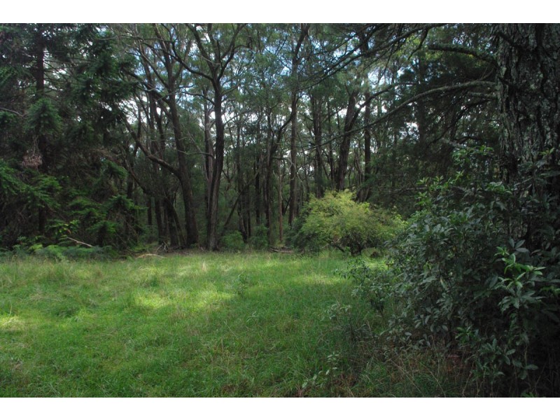 11 Mt Tootie Rd., Bilpin NSW 2758