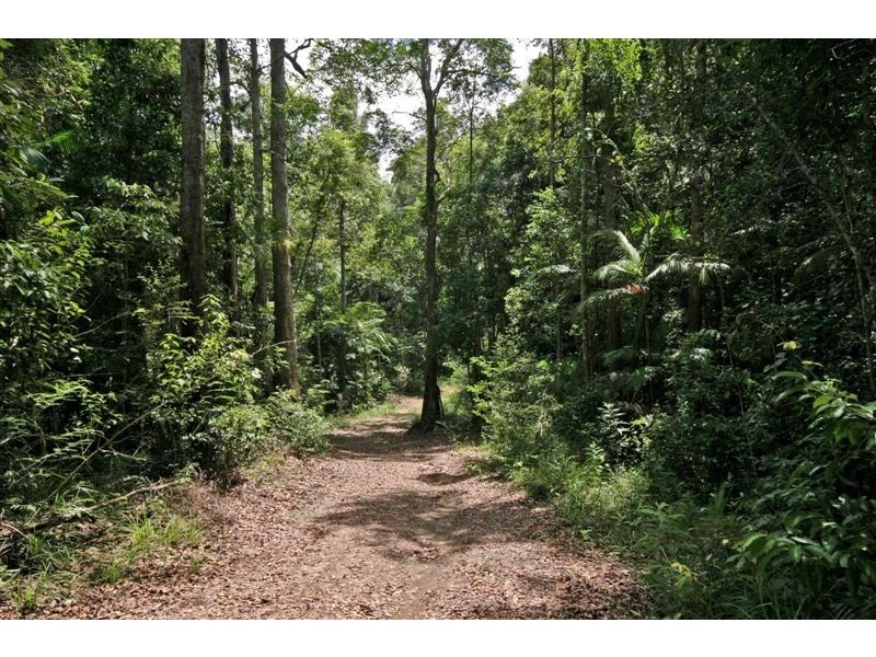 84 Reserve Lane, Peachester QLD 4519