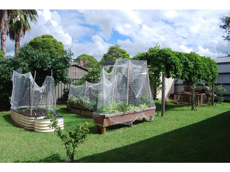 31 Lucinda Street, Gwynneville NSW 2500