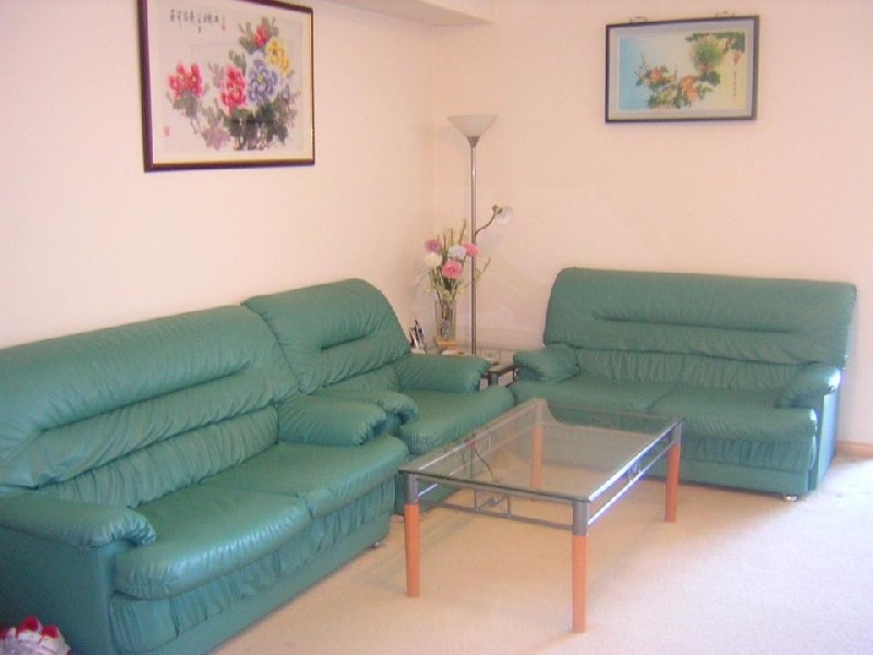 49 Josephine St, Riverwood NSW 2210