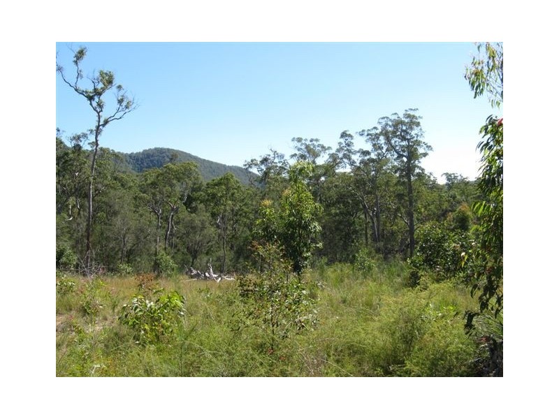 Booral NSW 2425