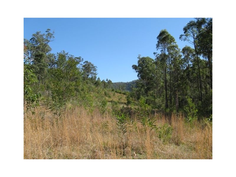 Booral NSW 2425