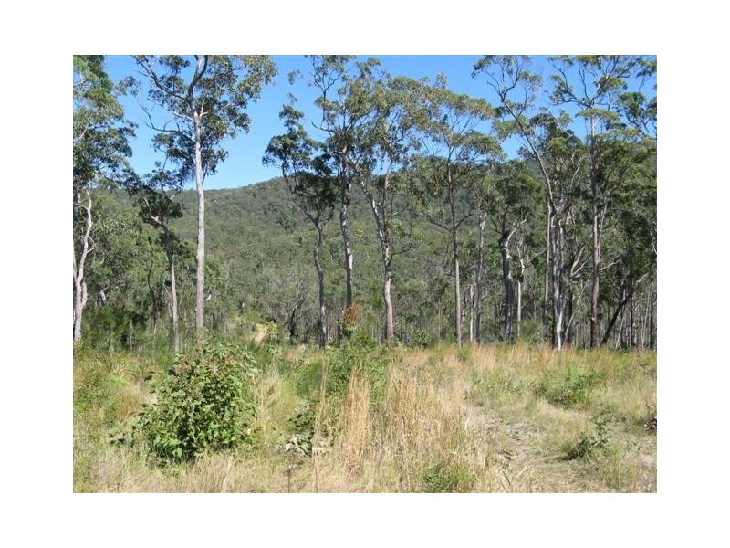Booral NSW 2425