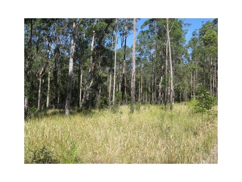Booral NSW 2425