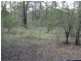 The Branch NSW 2425