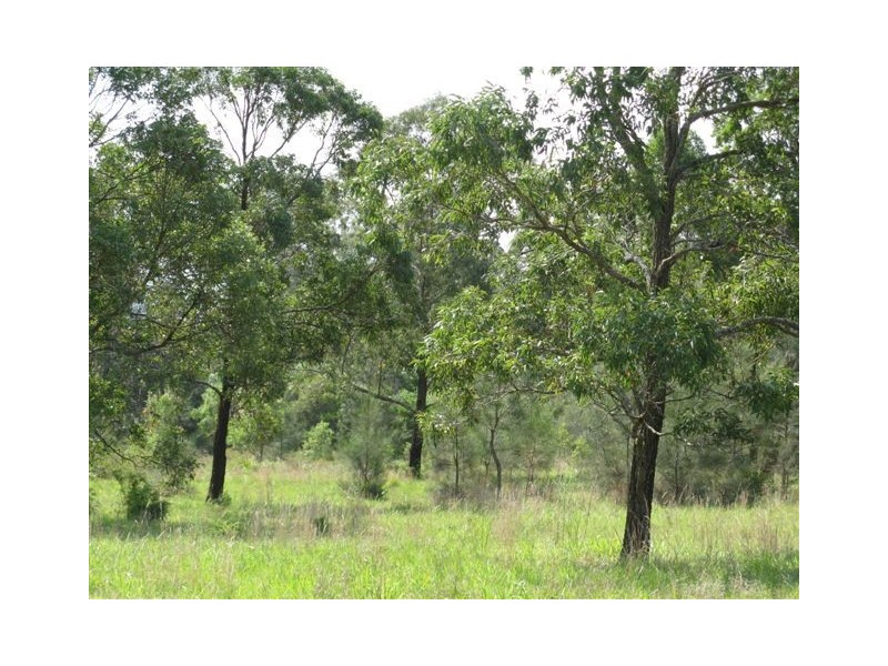 Lot 6/Section 9 Fullarton Street, The Branch NSW 2425