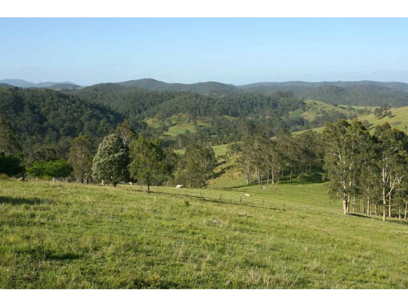 Stroud NSW 2425