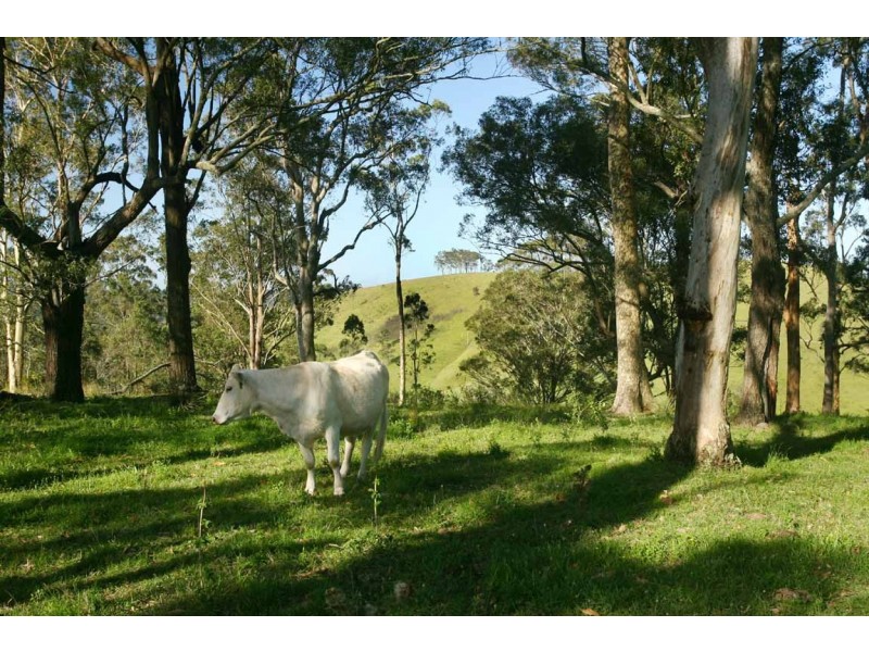 Stroud NSW 2425